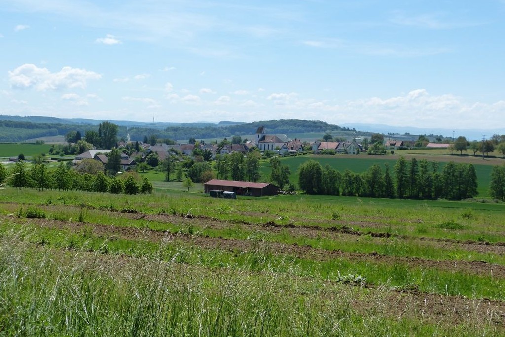 Blick auf Mappach.
